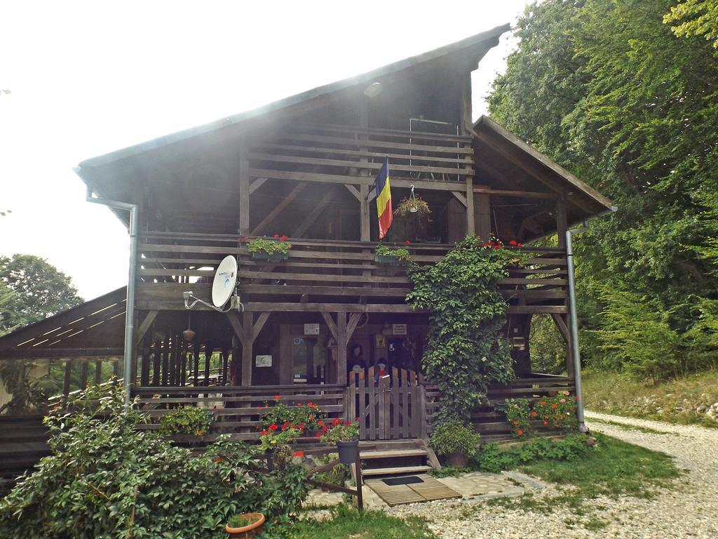 Hotel Cabana La Noi à Rîşnov Extérieur photo
