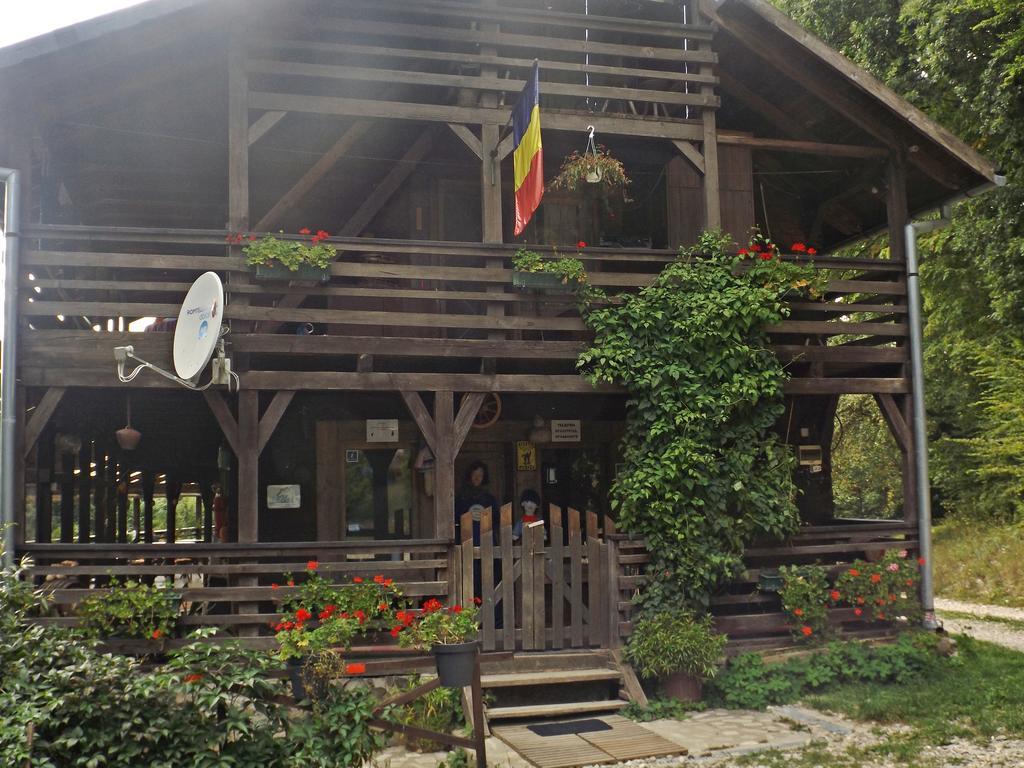 Hotel Cabana La Noi à Rîşnov Extérieur photo