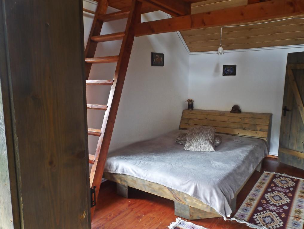 Hotel Cabana La Noi à Rîşnov Extérieur photo