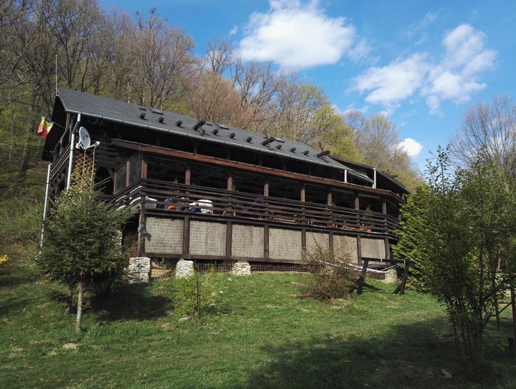 Hotel Cabana La Noi à Rîşnov Extérieur photo